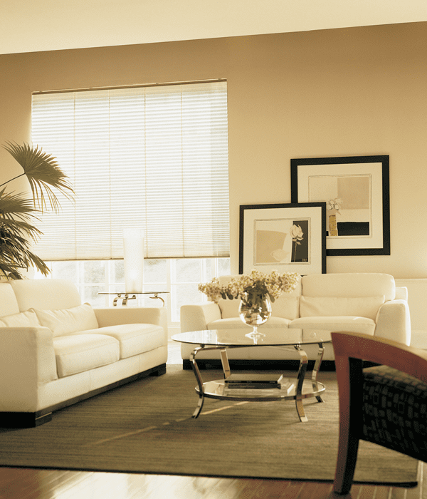 Our 7 most popular shades Custom Window Shades NYC Urban Window